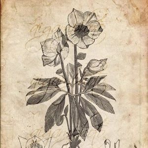 Meet your Posher, Aiden